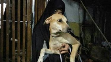 (Gufi, anjing kedua yang ditemukan di pinggir sungai saat masih kecil.)
