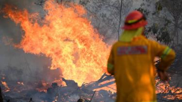 A firefighter works to contain a bushfire near Glen Innes, New South Wales, Australia, 10 November 2019