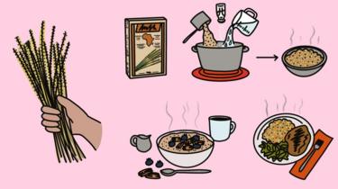 Ilustração de fonio