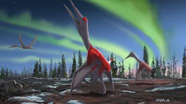 Illustration av ny art pterosaurie