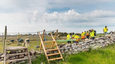 オランド島のサンドビー-ボルグ虐殺遺跡を発掘するチーム