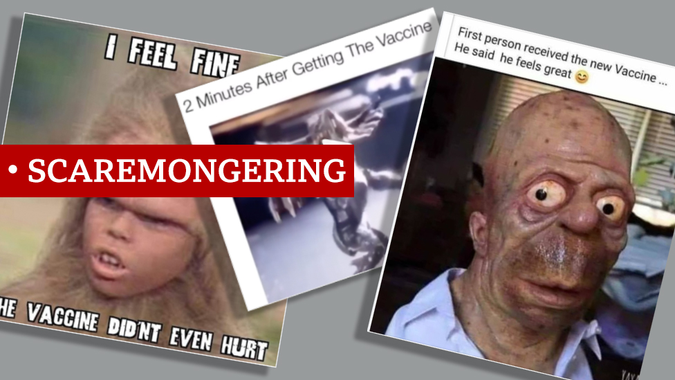 Een verzameling screenshots van memen label "bangmakerij"- ze tonen misvormde wezens naast claims als "de 2 minuten na het krijgen van het vaccin""scaremongering"- they show disfigured creatures alongside claims like "2 minutes after getting the vaccine"