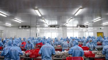 "Khi nền kinh tế có một đội ngũ kinh tế tư nhân mạnh thì nó mới có đủ sức cạnh tranh", nhà phân tích Đỗ Mạnh Hồng nhận định