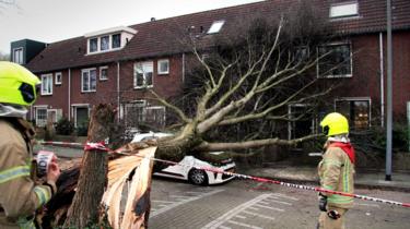 Firefighters assess the damages after a tree fell on a car during Storm Ciara in Rotterdam, the Netherlands, 9 February 2020