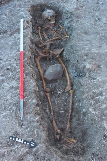 Skeleton in archaeological dig