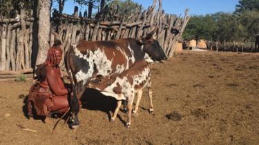 Une femme dans le village d'Omuhoro dans la région de Kunene