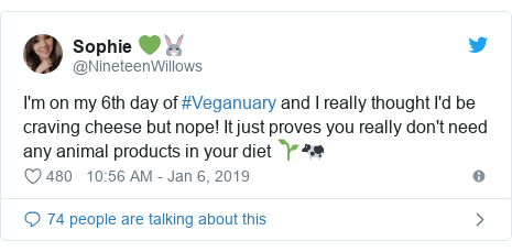 Twitter post by @NineteenWillows: I'm on my 6th day of #Veganuary and I really thought I'd be craving cheese but nope! It just proves you really don't need any animal products in your diet 🌱🐄