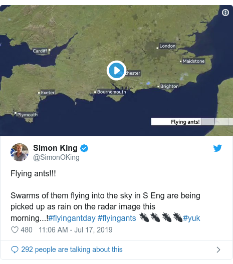Twitter post by @SimonOKing: Flying ants!!! Swarms of them flying into the sky in S Eng are being picked up as rain on the radar image this morning...!#flyingantday #flyingants 🐜🐜🐜🐜#yuk 