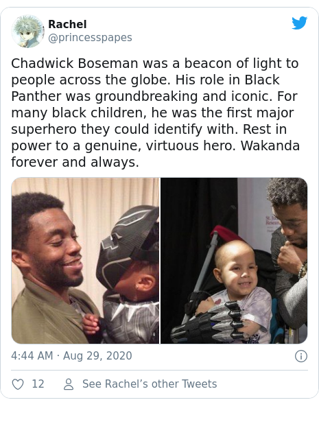 Twitter post by @princesspapes: Chadwick Boseman was a beacon of light to people across the globe. His role in Black Panther was groundbreaking and iconic. For many black children, he was the first major superhero they could identify with. Rest in power to a genuine, virtuous hero. Wakanda forever and always.