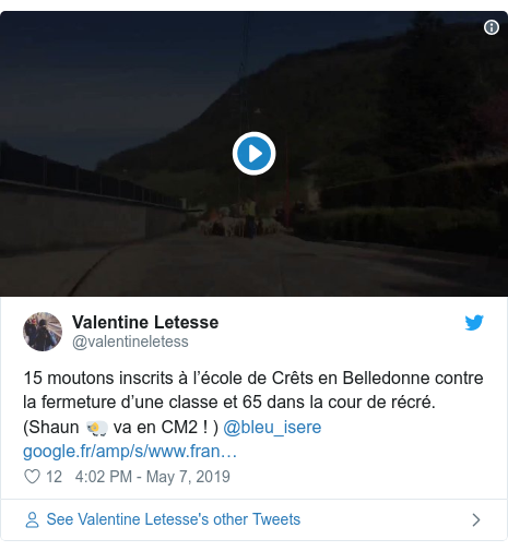 Twitter post by @valentineletess: 15 moutons inscrits à l’école de Crêts en Belledonne contre la fermeture d’une classe et 65 dans la cour de récré. (Shaun 🐏 va en CM2 ! ) @bleu_isere  