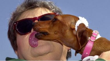Dog licking a person's face