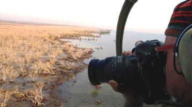 Norman Duke taking photo of dead mangroves out of helecopter