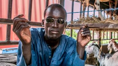 A trader sits in their van, loaded with animals, as they wait at the border in Malanville between Benin and Niger on September 18, 2023.