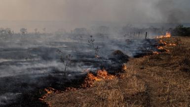 Fire burns grassland in Cerrado, thick black smoke in the air