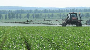 Tractor working on a field