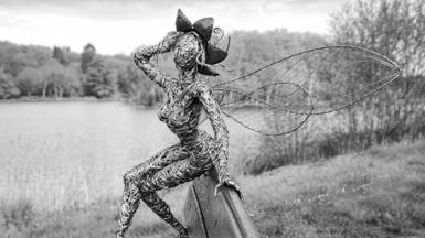 Wire fairy
