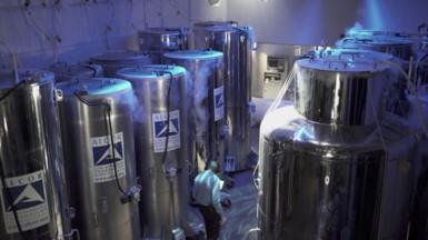 Inside an Acor cryonics lab