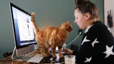 A woman's cat walks across her desk