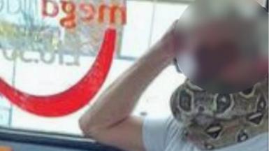 Man using snake as face mask
