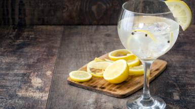 Glass of gin and tonic with lemon