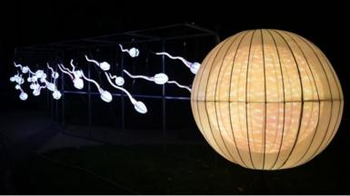Lanterns in the shape of sperm and an egg