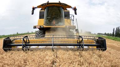 China harvest in Xinjiang region