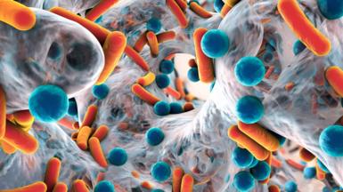 Close up of antibiotic resistant bacteria
