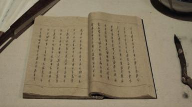 Book containing Nushu language