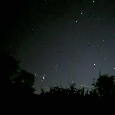 A dark sky with silhouettes of trees in the foreground. The white tail of a meteor can be seen in the sky.