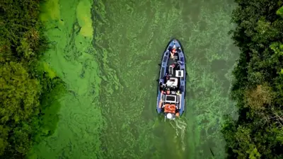 Drone Shot of boat on green Lough Neagh