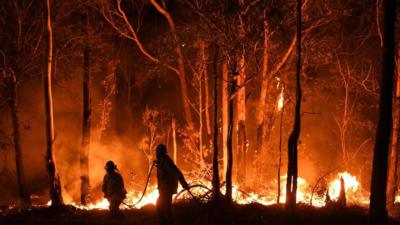 Climate Change Human Activity Contributed To Australian Bushfires Cbbc Newsround