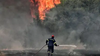 جهود متواصلة للتصدي لحرائق الغابات المستمرة