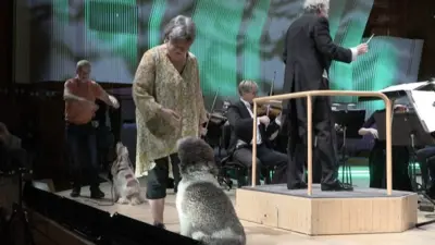 Psi sa orkestrom izvode Mocarta u Danskoj