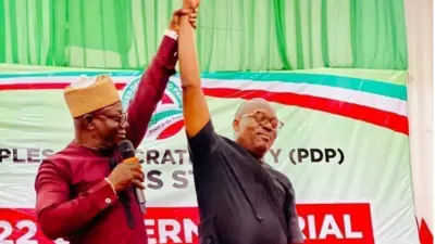 PDP Primaries results: Governorship primary winner list