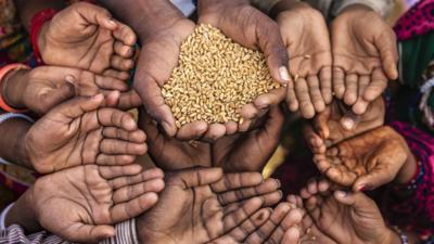 World hunger: Almost 700 million people are going hungry worldwide  according to a new report - CBBC Newsround