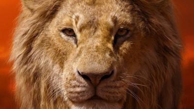 The Lion King Send In Your Questions For The Disney Cast Cbbc Newsround