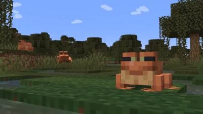 Minecraft Live New Mobs Biomes And The Wild Update What S Next For The Game Cbbc Newsround