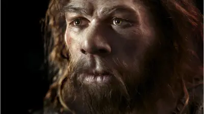 l'homme de Neandertal.