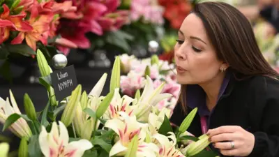 An exhibitor blows pollen as she adjusts a display of lilies during preparations for the RHS Chelsea Flower Show 2023 in London, Britain, 21 May 2023.