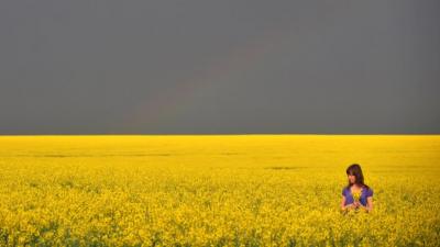 Довоенное рапсовое поле в Украине