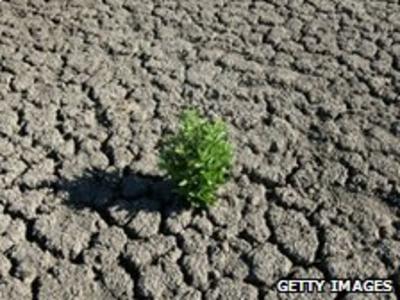Guide What Is Drought And How Does It Happen Cbbc Newsround