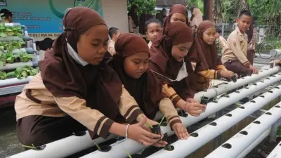 Sejumlah siswa Sekolah Dasar Islam Terpadu Arofah 1 Boyolali belajar menanam bayam brazil dengan metode hidroponik di Azalea Farm, Kebonbimo, Boyolali, Jawa Tengah, Jumat (24/9/2023).