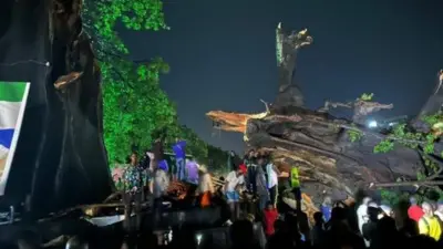 Le cotton tree après sa chute
