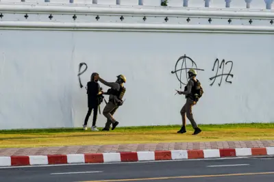 Thai News Pix / ไข่แมวชีส