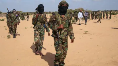 Loltoota al-Shabaab