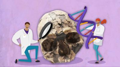 Montaje de un cráneo de Homo sapiens con ilustraciones de científicos alrededor