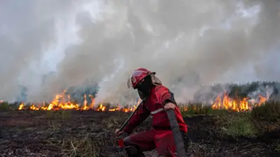 Petugas memadamkan kebakaran lahan di Sumatra Selatan, Kamis (21/09). 