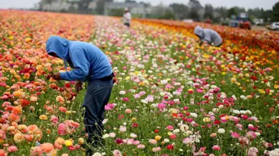 Pekerja mengenakan jaket di sebuah taman