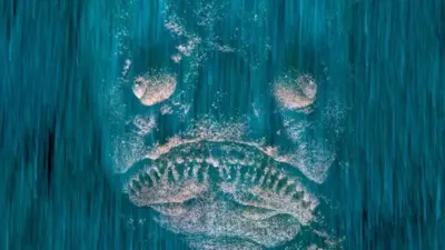 um peixe-stargazer, que se enterra no chão arenoso do Mediterrâneo