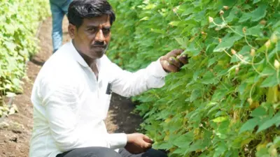 કૃષ્ણા ફલકે 